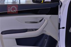 بي واي دي سونغ بلس